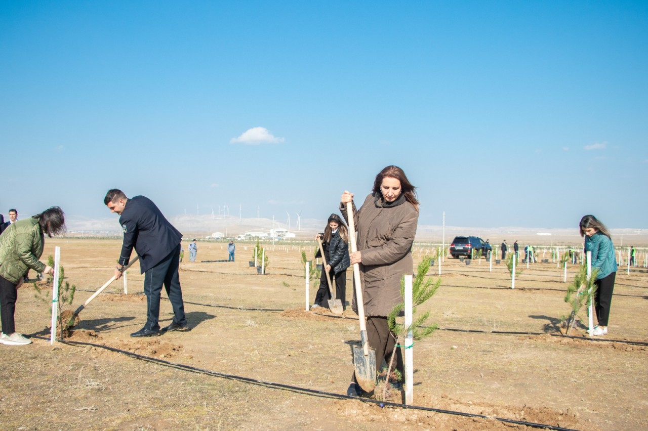 Zəfər Günü ilə əlaqədar ağacəkmə aksiyası keçirildi - FOTOLAR
